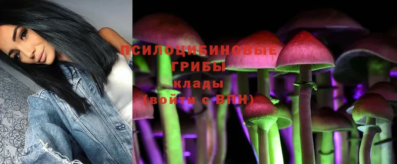 Псилоцибиновые грибы Magic Shrooms  OMG зеркало  Крым 